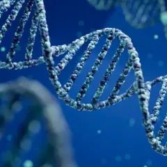 Schéma de l'ADN en double hélice, avec des particules bleues et violettes formant la structure.