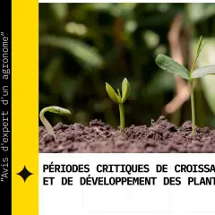 Trois jeunes pousses illustrent les étapes de la croissance des plantes, de la germination à l'épanouissement.