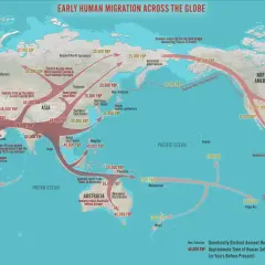 Carte des migrations humaines anciennes, montrant la dispersion du Homo sapiens à travers les continents, de l'Afrique vers l'Asie, l'Europe, l'Océanie et les Amériques.