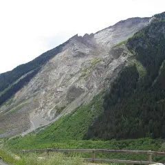 Vaste glissement de terrain suisse, une montagne dénudée de roche et de terre, contrastant avec une forêt dense.