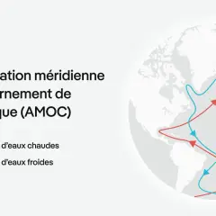 Schéma de l'AMOC, montrant un fleuve chaud en plein océan Atlantique, avec des courants chauds (rouges) et froids (bleus).