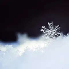 Un flocon de neige unique, délicat et complexe, repose sur un lit de neige scintillante, sous un ciel sombre.