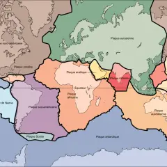 Carte des plaques tectoniques, illustrant la plaque nord-américaine, eurasienne, africaine, etc. La plaque lithosphérique définition est ici visuelle.