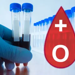 Main d'un technicien tenant des tubes de sang. Une goutte rouge avec un signe + et un O, symbolisant le groupe sanguin O+. Le phénotype rhesus d+c+e-c+e+k- est une information cruciale.
