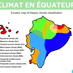 Carte de l'Équateur montrant la classification climatique de Köppen. La ligne équatoriale traverse plusieurs zones climatiques, dont l'équatorial, la savane et le désert.