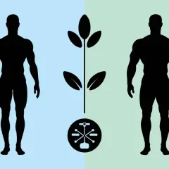 Deux silhouettes masculines au corps un peu musclé encadrent une plante stylisée et un symbole technologique.