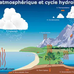 Le cycle de l'eau montre l'évaporation, la condensation et la précipitation, créant de la **humidité dans l'air** qui forme les nuages.