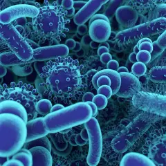 Un aperçu fascinant de ce qu'est un microbe : des bactéries allongées et des virus sphériques bleus, tous en mouvement.
