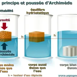 Illustration du principe et de la poussée d'Archimède. Trois béchers montrent des corps moins, aussi, et trop denses que l'eau, illustrant la flottabilité et l'équilibre hydrostatique.
