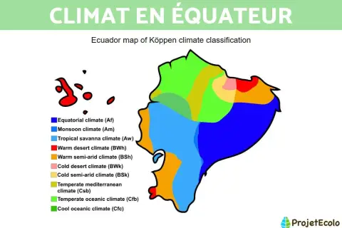 Carte de l'Équateur montrant la classification climatique de Köppen. La ligne équatoriale traverse plusieurs zones climatiques, dont l'équatorial, la savane et le désert.