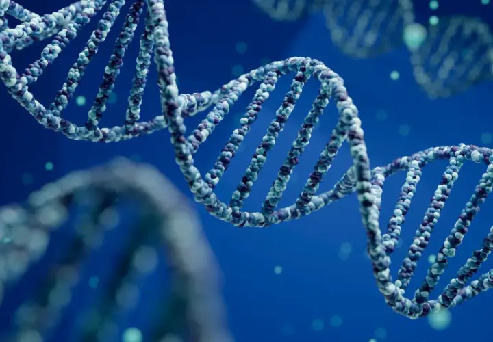 Schéma de l'ADN en double hélice, avec des particules bleues et violettes formant la structure.