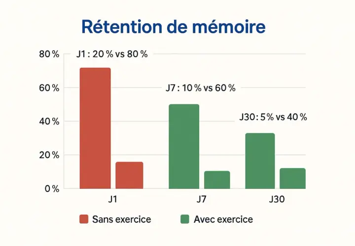 Graphique montrant l'impact des exercices sur la rétention de mémoire. Comment travailler sa mémoire : les exercices améliorent significativement la mémorisation à long terme.