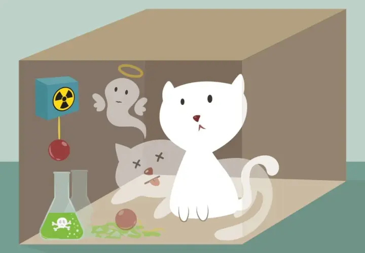 Le chat de Schrödinger est à la fois vivant et mort, représenté par un chat blanc et un fantôme de chat dans une boîte avec un dispositif radioactif.