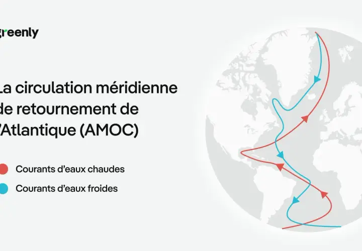 Schéma de l'AMOC, montrant un fleuve chaud en plein océan Atlantique, avec des courants chauds (rouges) et froids (bleus).