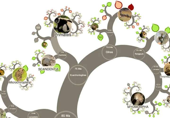 L'arbre du vivant illustre l'évolution des mammifères, montrant des primates, des rongeurs et d'autres groupes à travers des branches stylisées.