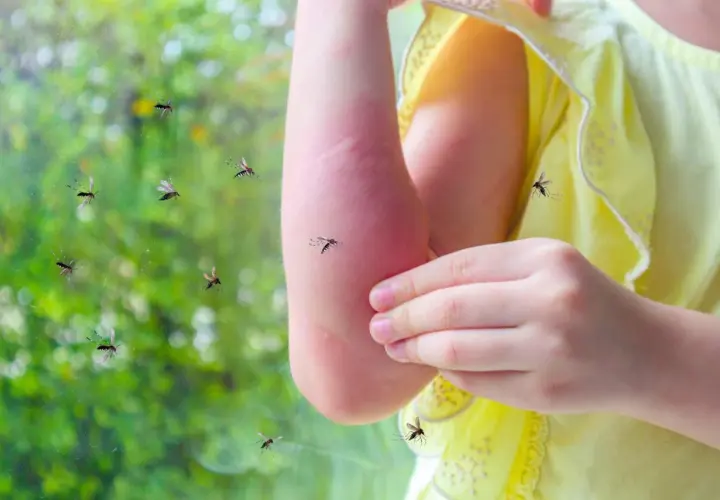 Un enfant se gratte le bras rouge, entouré de moustiques. Une image qui interroge : pourquoi les moustiques piquent certaines personnes ?