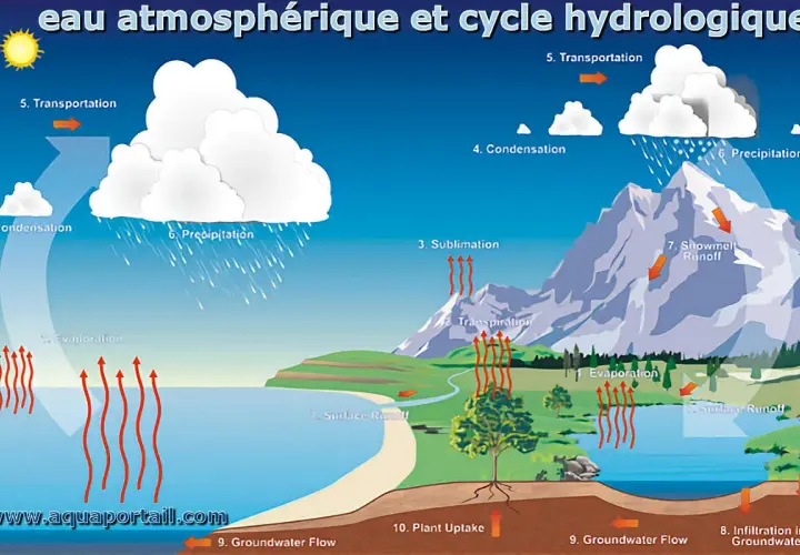 Le cycle de l'eau montre l'évaporation, la condensation et la précipitation, créant de la **humidité dans l'air** qui forme les nuages.