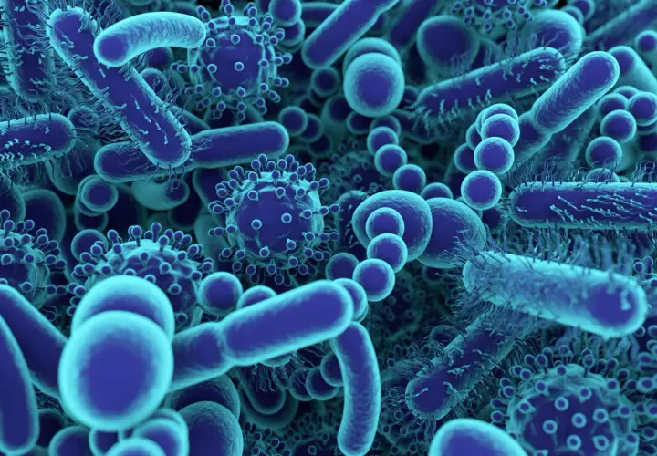 Un aperçu fascinant de ce qu'est un microbe : des bactéries allongées et des virus sphériques bleus, tous en mouvement.