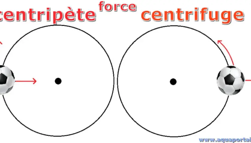 Deux ballons de foot illustrent la force centripète (vers le centre) et la force centrifuge (vers l'extérieur) dans un mouvement circulaire.