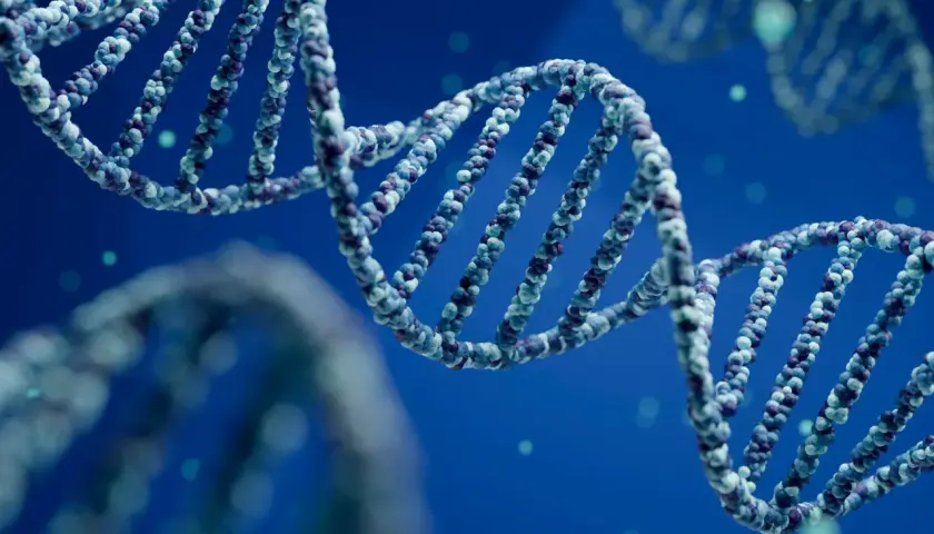 Schéma de l'ADN en double hélice, avec des particules bleues et violettes formant la structure.