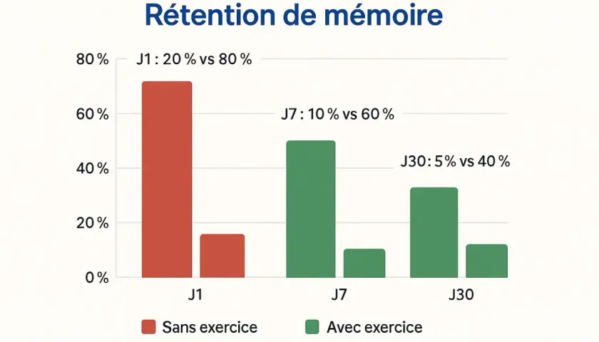 Graphique montrant l'impact des exercices sur la rétention de mémoire. Comment travailler sa mémoire : les exercices améliorent significativement la mémorisation à long terme.
