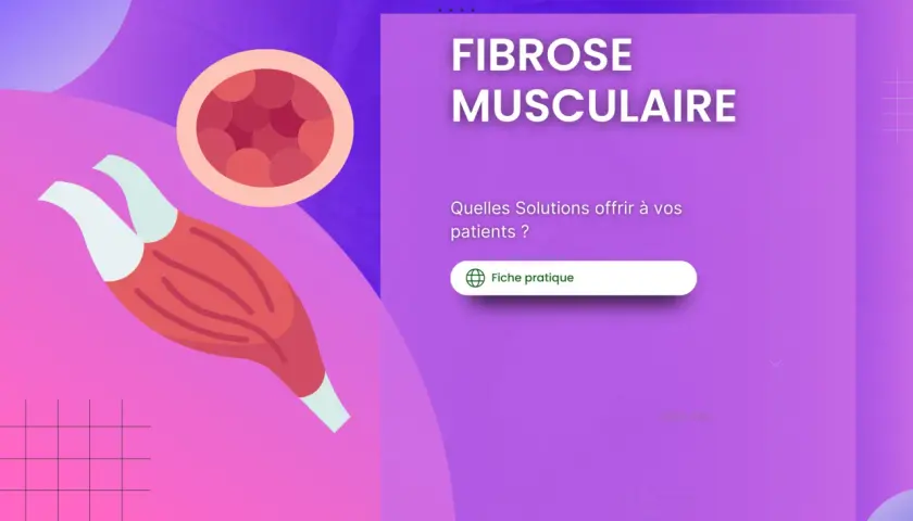 Illustration d'un muscle et d'une coupe transversale, avec le texte "FIBROSE MUSCULAIRE". Apprenez-en plus sur les symptômes et les solutions.