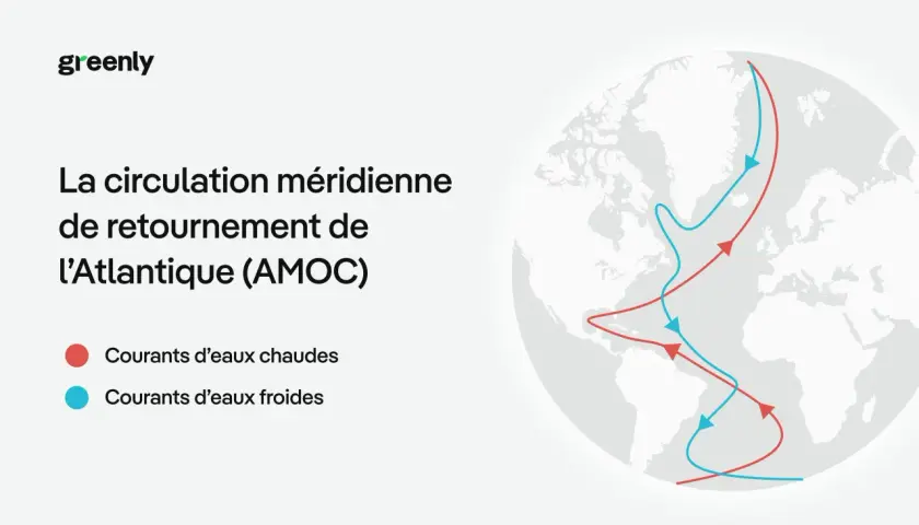 Schéma de l'AMOC, montrant un fleuve chaud en plein océan Atlantique, avec des courants chauds (rouges) et froids (bleus).