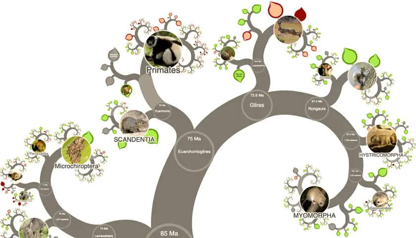 L'arbre du vivant illustre l'évolution des mammifères, montrant des primates, des rongeurs et d'autres groupes à travers des branches stylisées.