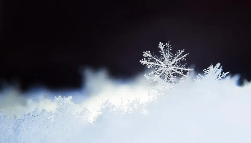 Un flocon de neige unique, délicat et complexe, repose sur un lit de neige scintillante, sous un ciel sombre.