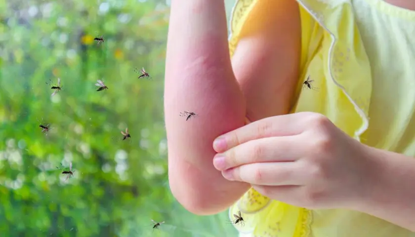 Un enfant se gratte le bras rouge, entouré de moustiques. Une image qui interroge : pourquoi les moustiques piquent certaines personnes ?