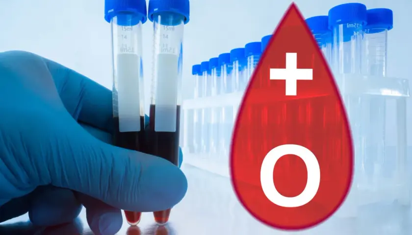 Main d'un technicien tenant des tubes de sang. Une goutte rouge avec un signe + et un O, symbolisant le groupe sanguin O+. Le phénotype rhesus d+c+e-c+e+k- est une information cruciale.