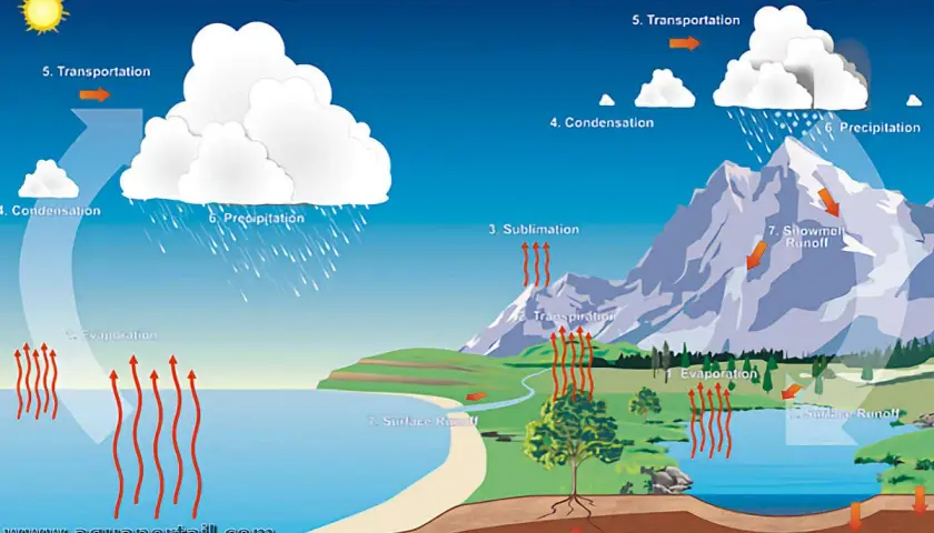 Le cycle de l'eau montre l'évaporation, la condensation et la précipitation, créant de la **humidité dans l'air** qui forme les nuages.
