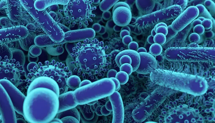 Un aperçu fascinant de ce qu'est un microbe : des bactéries allongées et des virus sphériques bleus, tous en mouvement.