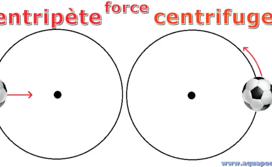 Force centripète - Définition, formule et exemples clairs