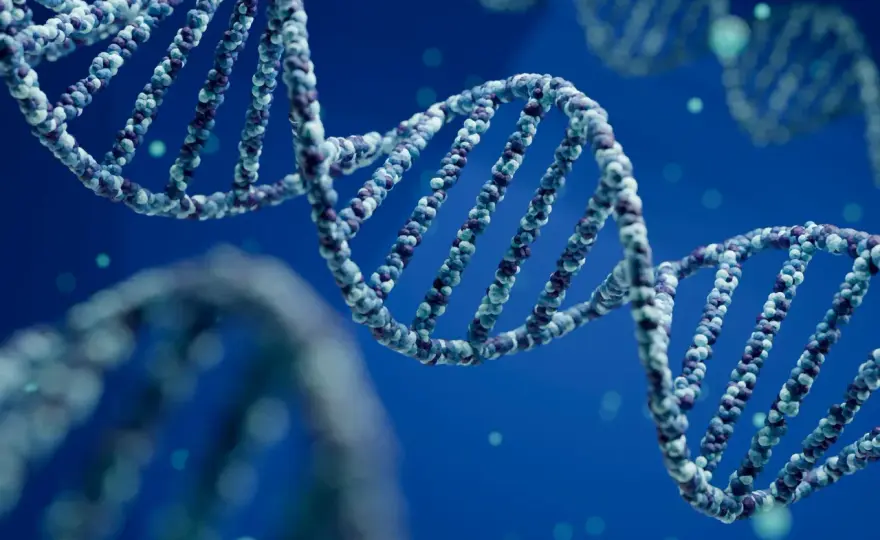 ADN - Décryptez la double hélice et son rôle dans l'évolution