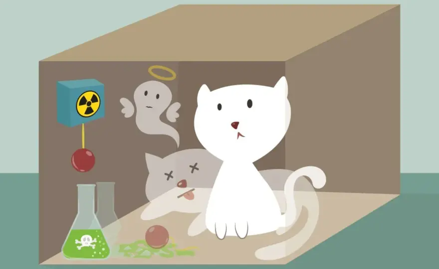 Chat de Schrödinger - Le comprendre pour de bon