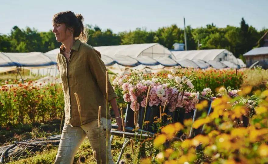 Annuelle ou vivace - Le guide ultime pour bien choisir ses plantes