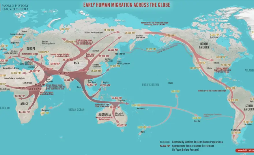 Homo sapiens, une histoire d’évolution et de migrations