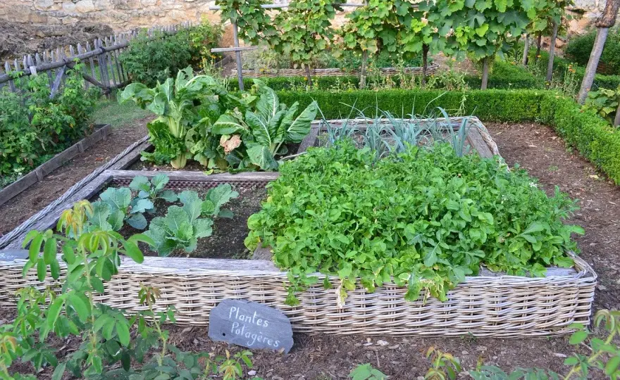 Lire un sol - Le guide complet pour mieux cultiver