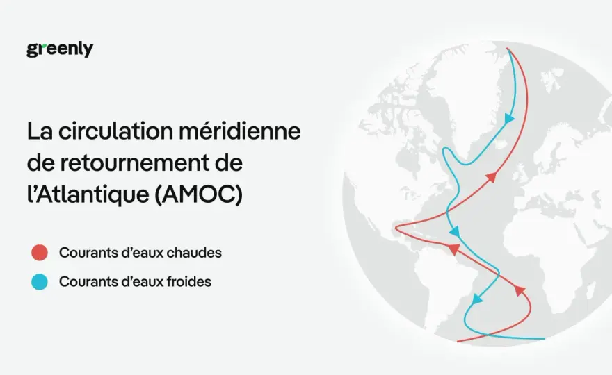 Fleuve chaud de l'Atlantique - Comprendre son vrai rôle climatique