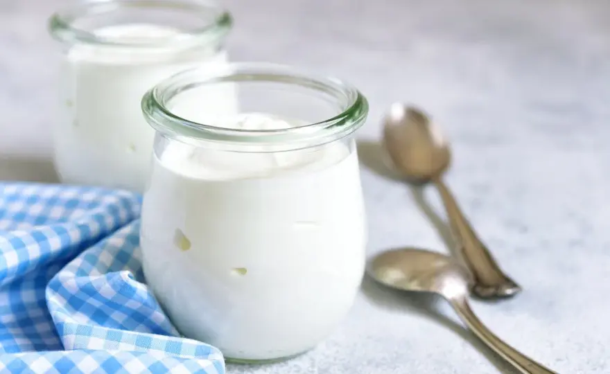 Yaourt fermenté - Comprendre la vraie nature de ce produit