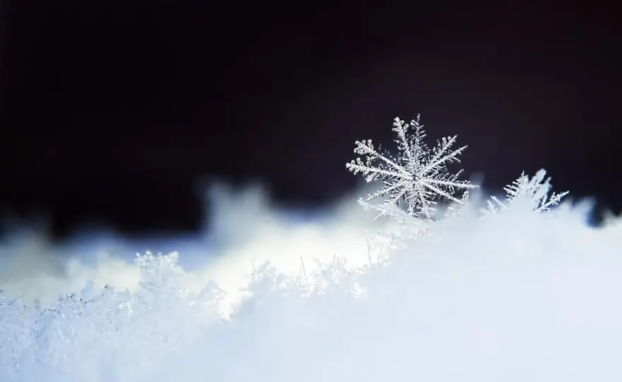 Flocon de neige - Comprendre sa formation et son rôle climatique