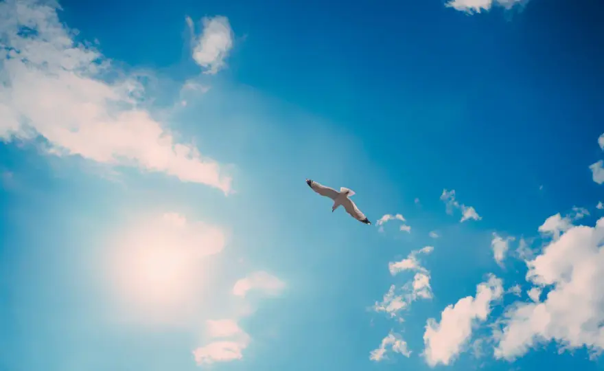 Pourquoi le ciel est bleu - Le mystère des couleurs révélé