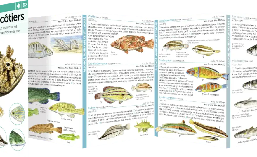 Profondeur de recherche de poissons - Le guide complet