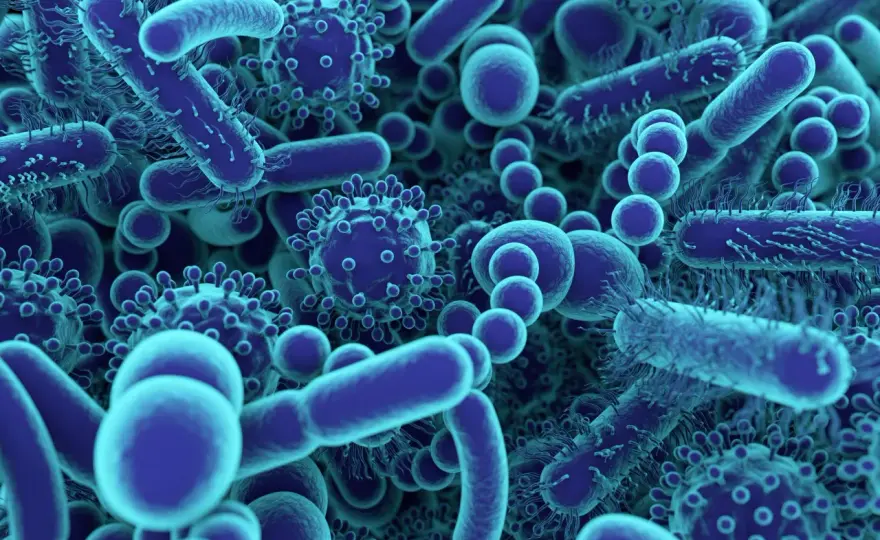 Microbes - Au-delà des menaces, le rôle essentiel du vivant