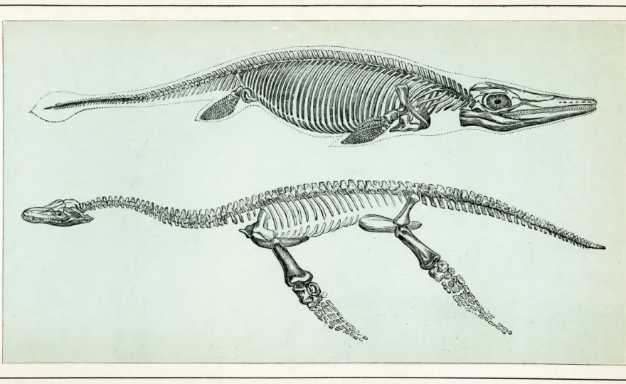 Vie avant les dinosaures - Un monde oublié ?