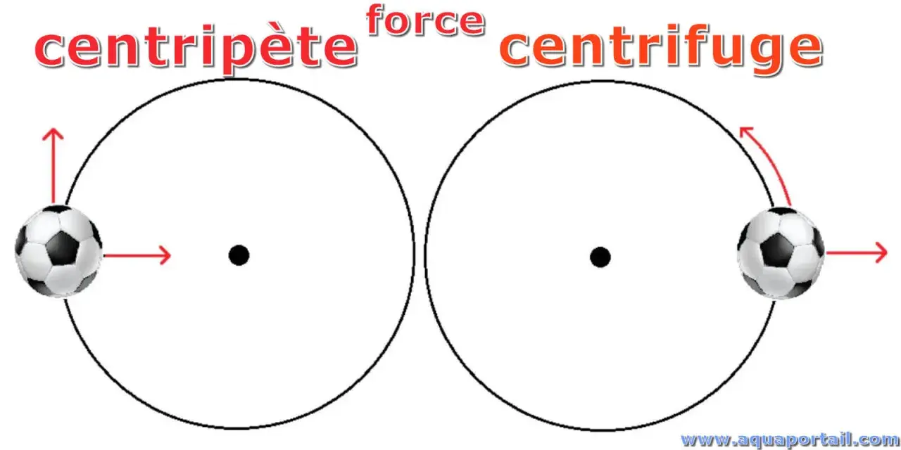 Deux ballons de foot illustrent la force centripète (vers le centre) et la force centrifuge (vers l'extérieur) dans un mouvement circulaire.