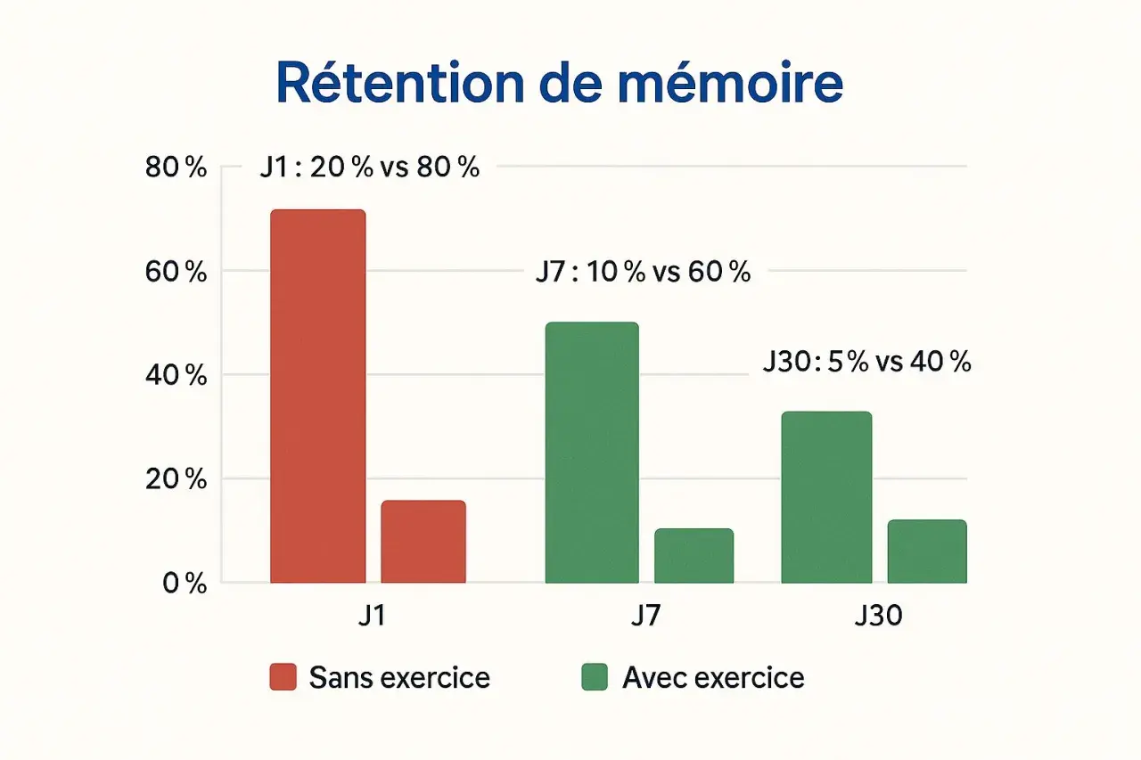 Graphique montrant l'impact des exercices sur la rétention de mémoire. Comment travailler sa mémoire : les exercices améliorent significativement la mémorisation à long terme.