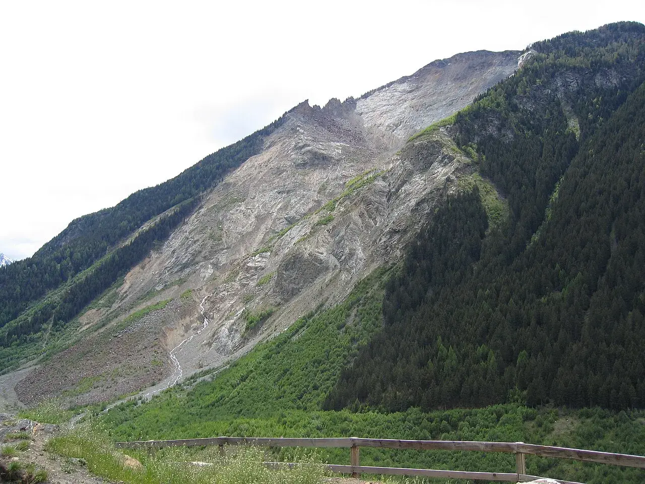 Vaste glissement de terrain suisse, une montagne dénudée de roche et de terre, contrastant avec une forêt dense.