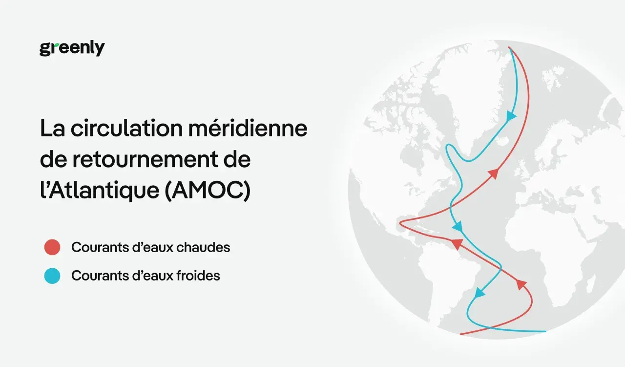 Schéma de l'AMOC, montrant un fleuve chaud en plein océan Atlantique, avec des courants chauds (rouges) et froids (bleus).